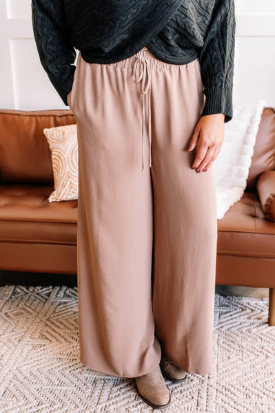 Hello, Lover Pleated Wide Leg Pants In Cappuccino